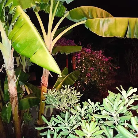 Aglaia House Ferienhaus Kouspádhes