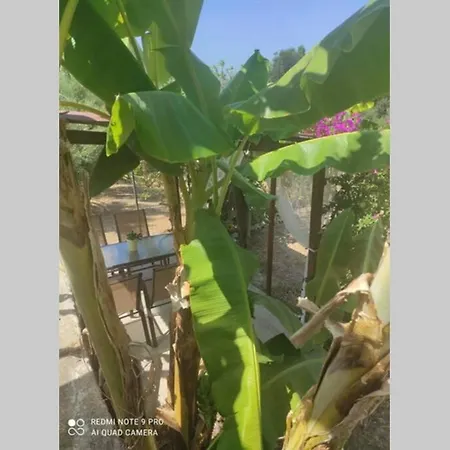 Aglaia House * Kouspádhes