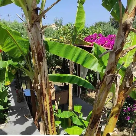 Aglaia House Ferienhaus