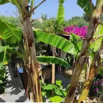 Aglaia House Hébergement de vacances