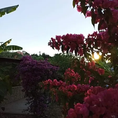 펜션 Aglaia House Kouspádhes