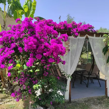 Aglaia House 펜션 Kouspádhes