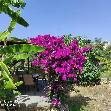 Aglaia House