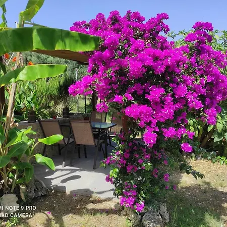 Aglaia House Kouspádhes