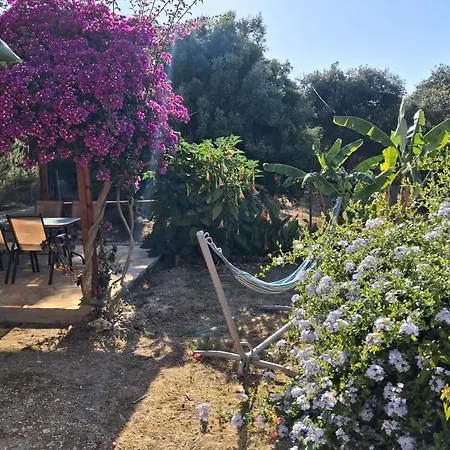 Hébergement de vacances Aglaia House